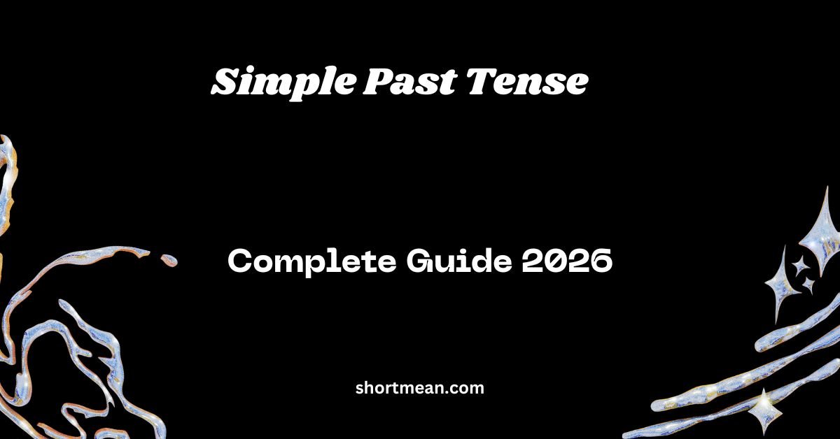 Simple Past Tense