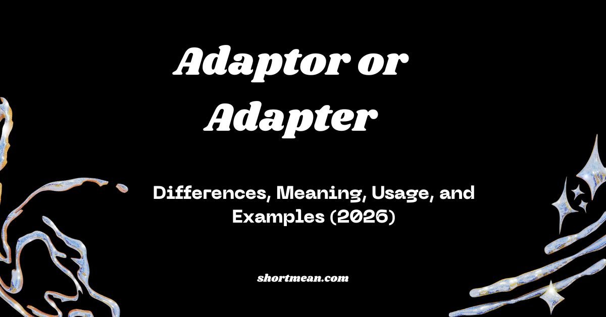 Adaptor or Adapter