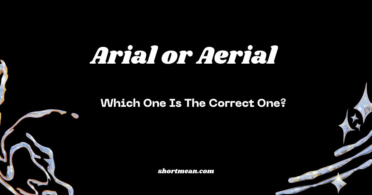 Arial or Aerial
