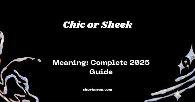 Chic or Sheek